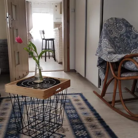 Uroczy Z Balia Z Jacuzzi Wladyslawowo